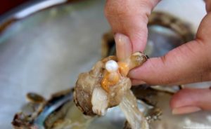 Натуральный морской жемчуг — описание камня
